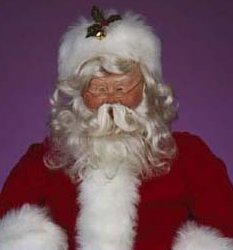Mr Santa White acrylic wig