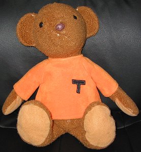 Teddy T-Shirt